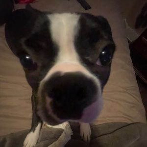 Meet your Posher, Vivian